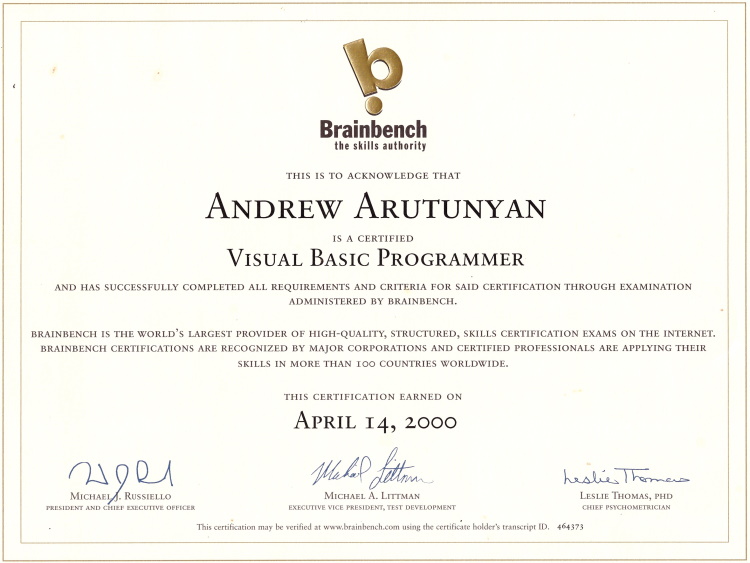 Visual Basic Programmer